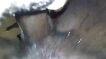 Jong guy kon niet weerstaan having seks met broertje neukt zusje een vrouw als matura